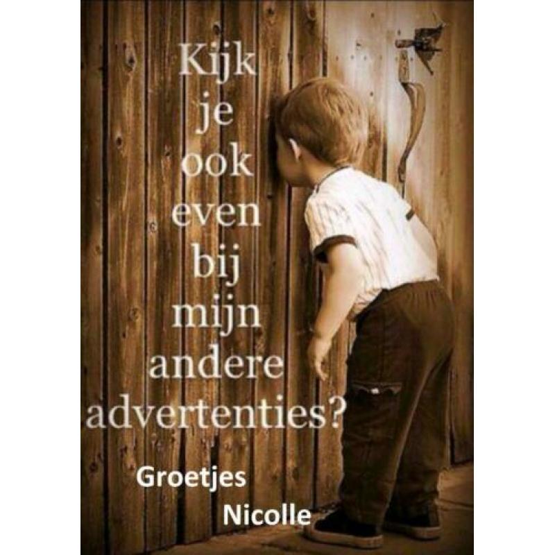 Nieuwe Dames Heup Ketting (856)