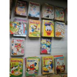 Donald ducks 1600