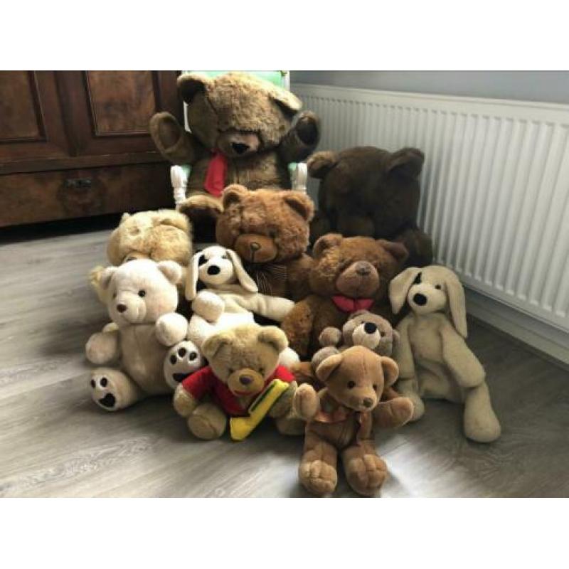 Diverse teddy knuffels ????