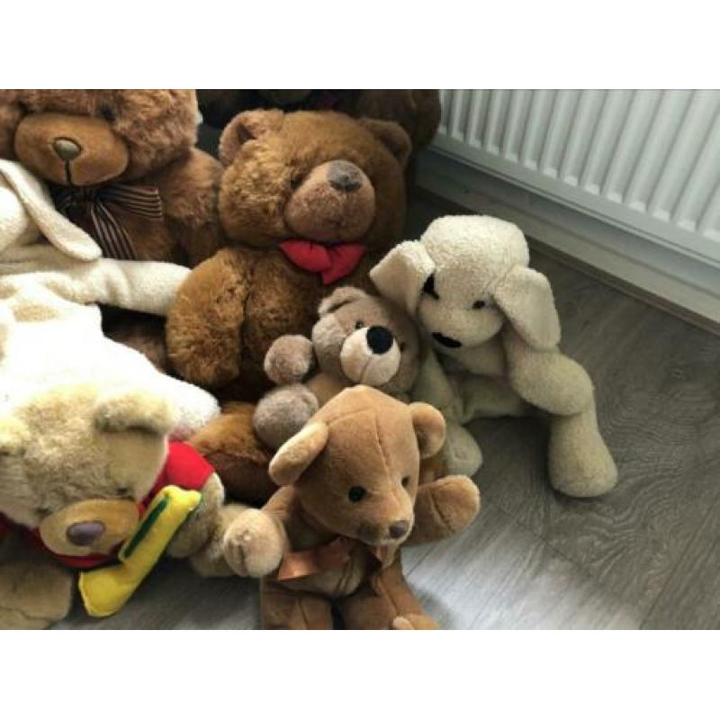 Diverse teddy knuffels ????