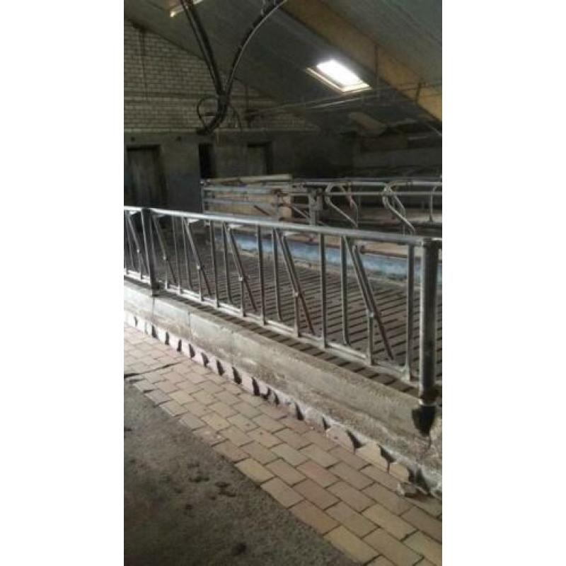 Zelfsluitend voerhek rundvee Brouwers