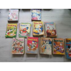 Donald ducks 1600