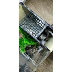 Superfish 1qube