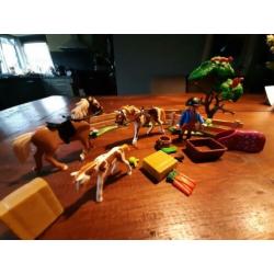 Paddock met paardenfamilie - 5227