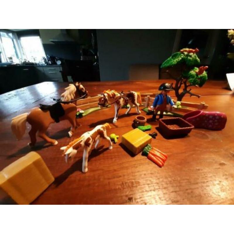 Paddock met paardenfamilie - 5227
