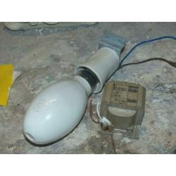 Grote authentieke gloeilamp met porselein vitting