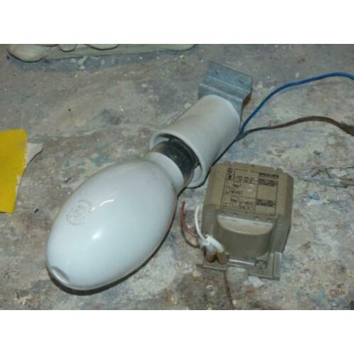 Grote authentieke gloeilamp met porselein vitting