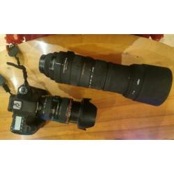 Sigma 150-500 voor Canon full frame
