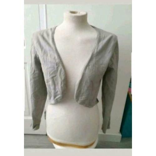 Grijs vest maat S
