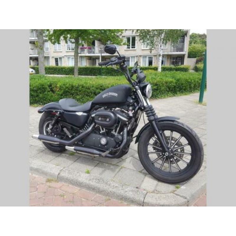HARLEY-DAVIDSON SPORTSTER IRON XL 883 N (bj 2015)
