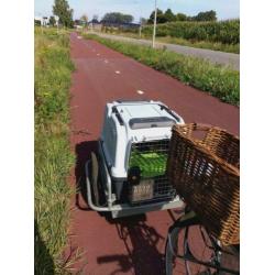 Vervoersbox Skudo /Transpotrer trixe Scudo