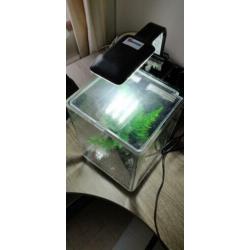 Superfish 1qube