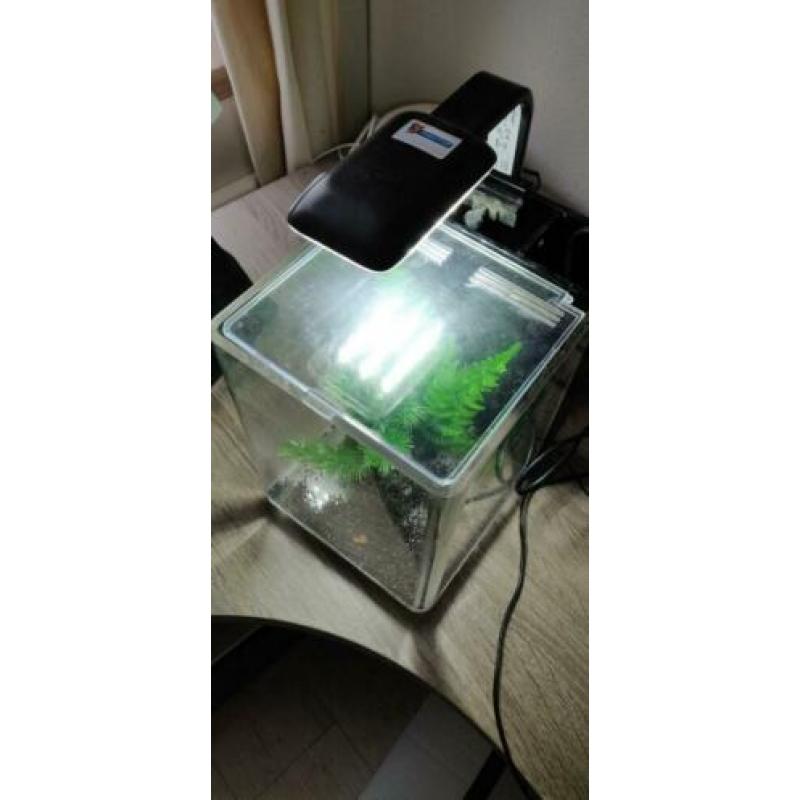 Superfish 1qube