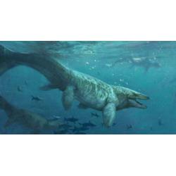 Mosasaurus tand aan nekkoord halsketting Jurassic World