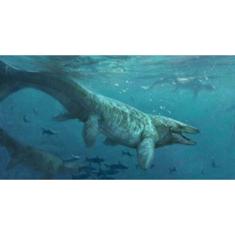 Mosasaurus tand aan nekkoord halsketting Jurassic World