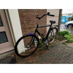 Cortina U1 Herenfiets