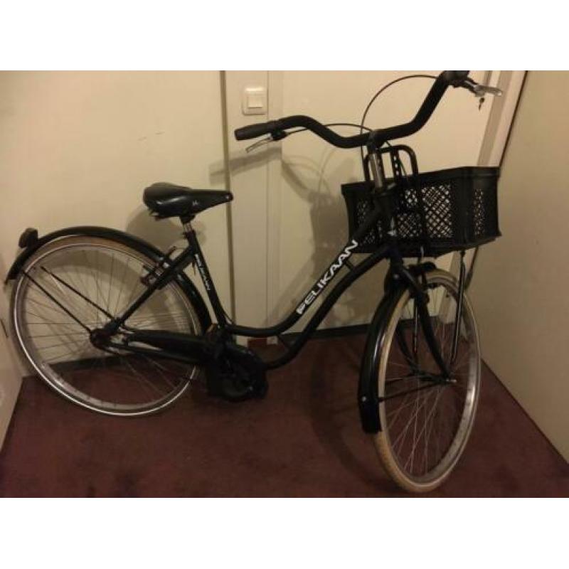 Pelikaan 28 inch