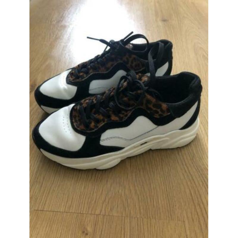 Hub Rock dad sneakers wit zwart panter