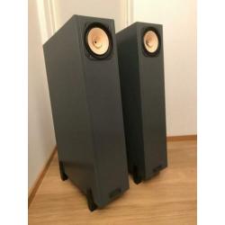 Fostex FE 167e in backloaded horn