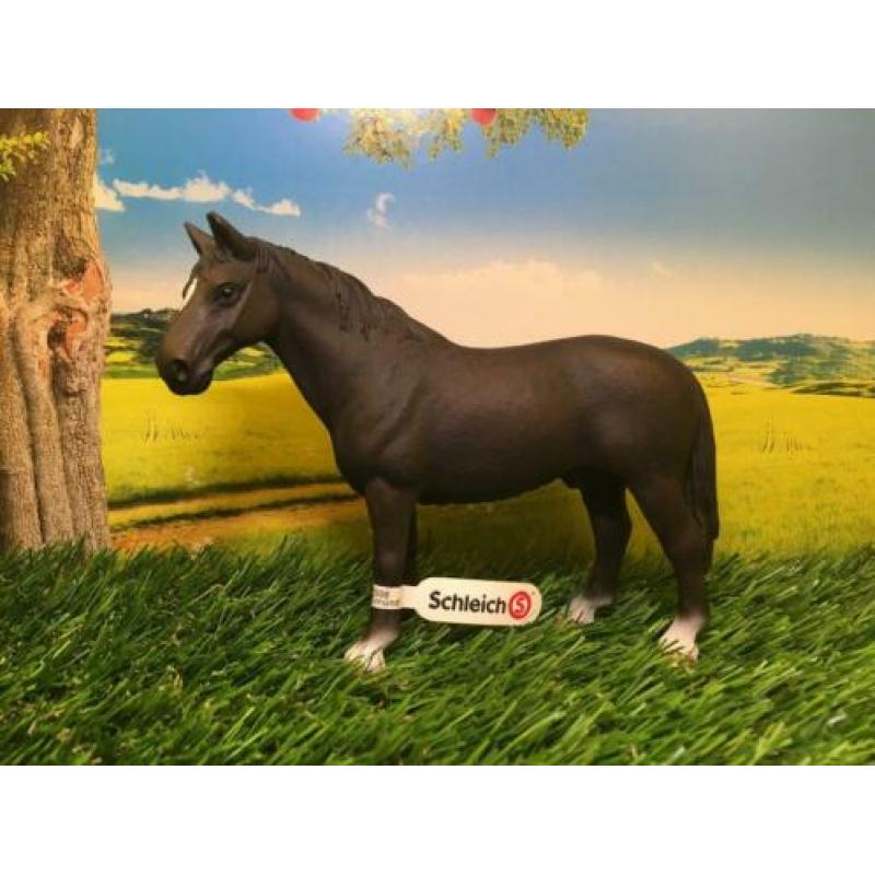 Schleich exclusive Marbach paarden sets