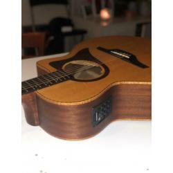Layke Superior met Fishman Pickup
