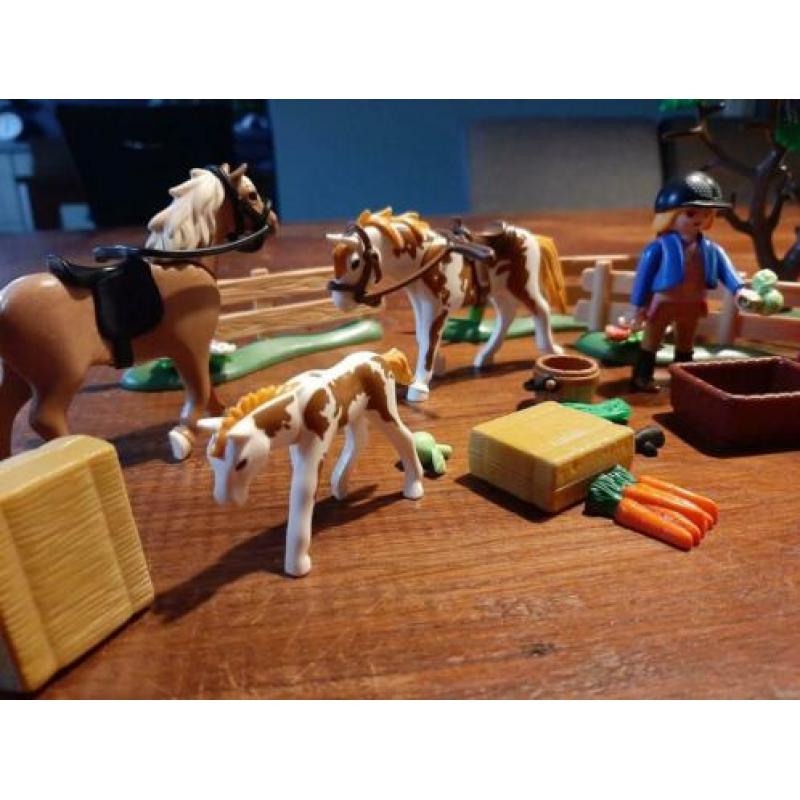Paddock met paardenfamilie - 5227