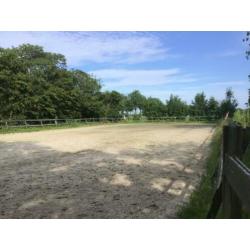 Paarden / pony stalling
