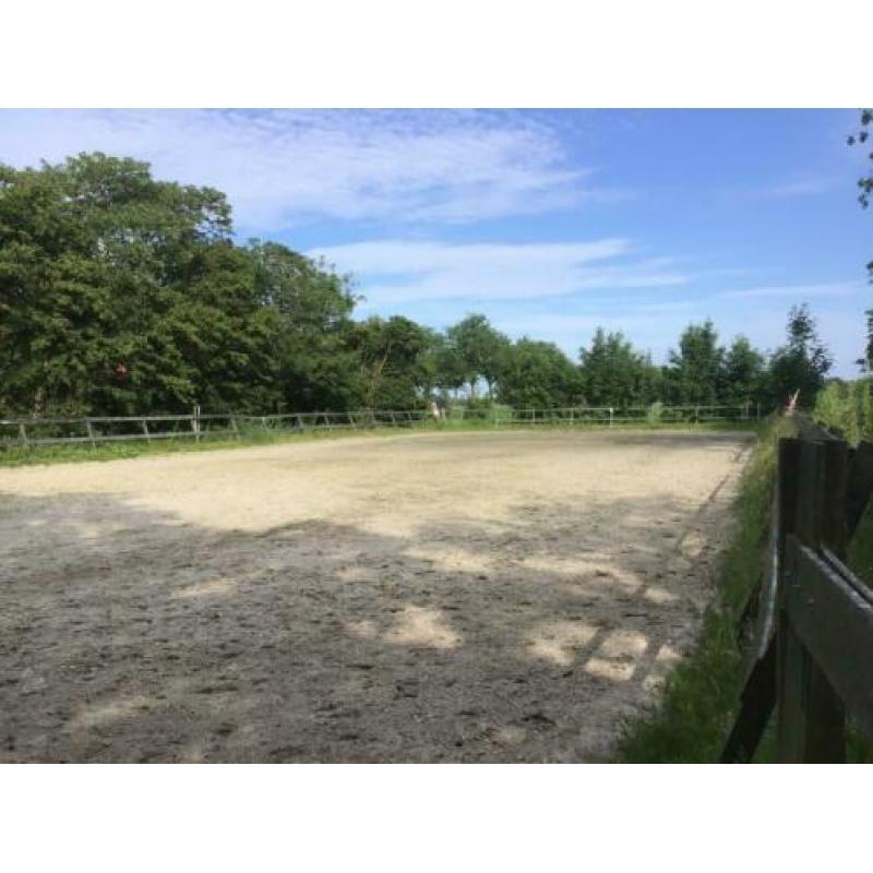 Paarden / pony stalling
