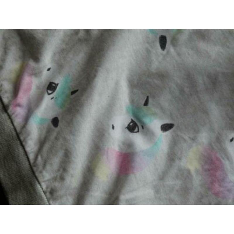 Shirt met pony's (H&M) meisje, maat 110-116