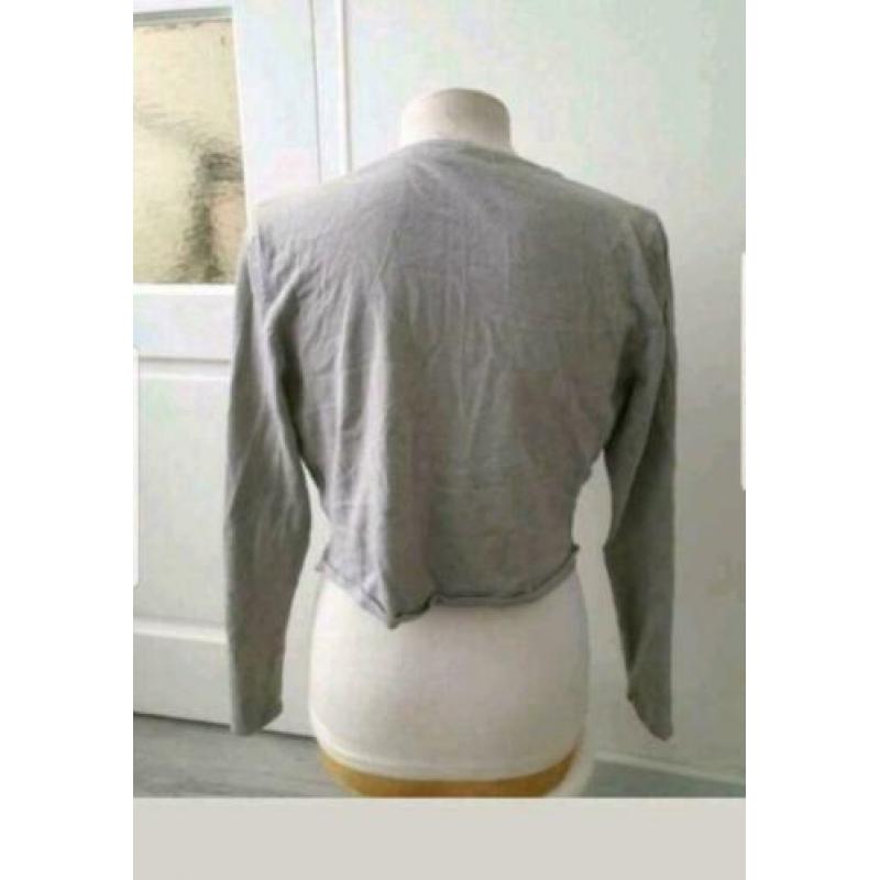Grijs vest maat S