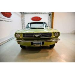 Ford usa MUSTANG