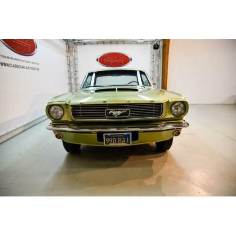 Ford usa MUSTANG