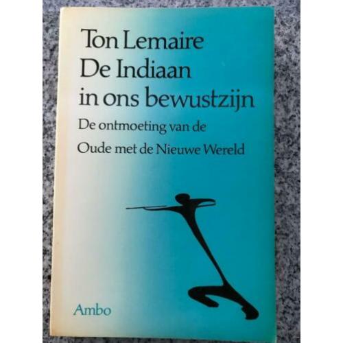 De indiaan in ons bewustzijn (Ton Lemaire)