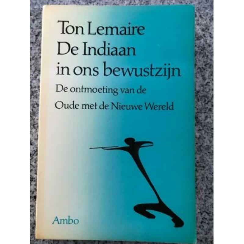 De indiaan in ons bewustzijn (Ton Lemaire)