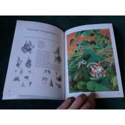 Rien Poortvliet Kabouter knutselboek - 3D knippen