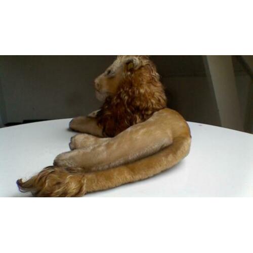 Zeer mooie originele vintage Steiff leeuw Leo Steif Teddy