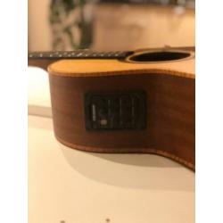 Layke Superior met Fishman Pickup