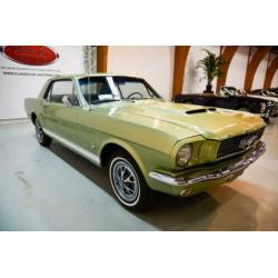 Ford usa MUSTANG
