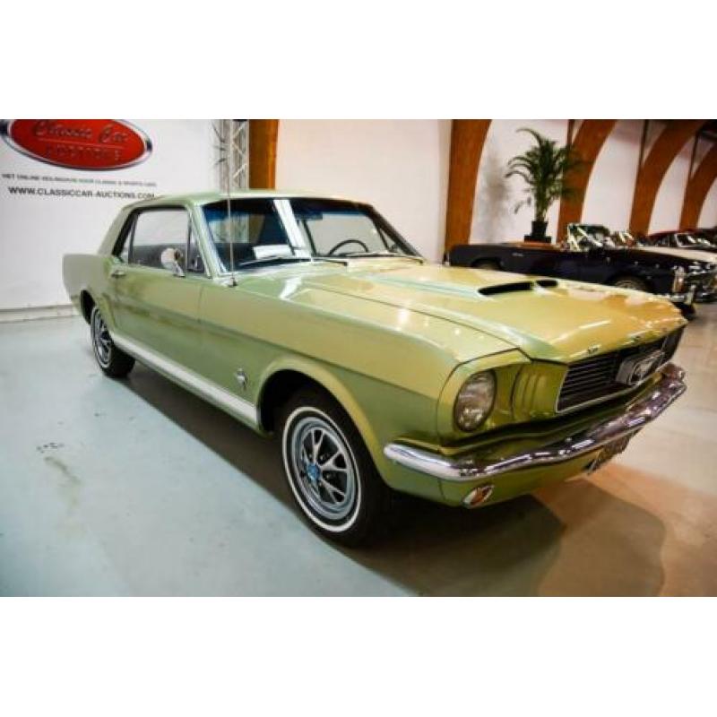 Ford usa MUSTANG