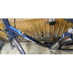 mooie goede elektrische fiets giant 2x accu