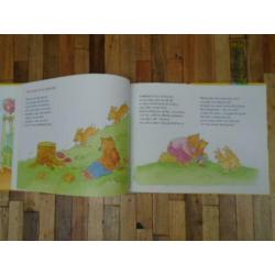 Sinterklaas, Kerst, verjaardag boeken - Marianne Busser& Ron