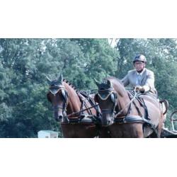 Mooi span D pony ruinen!