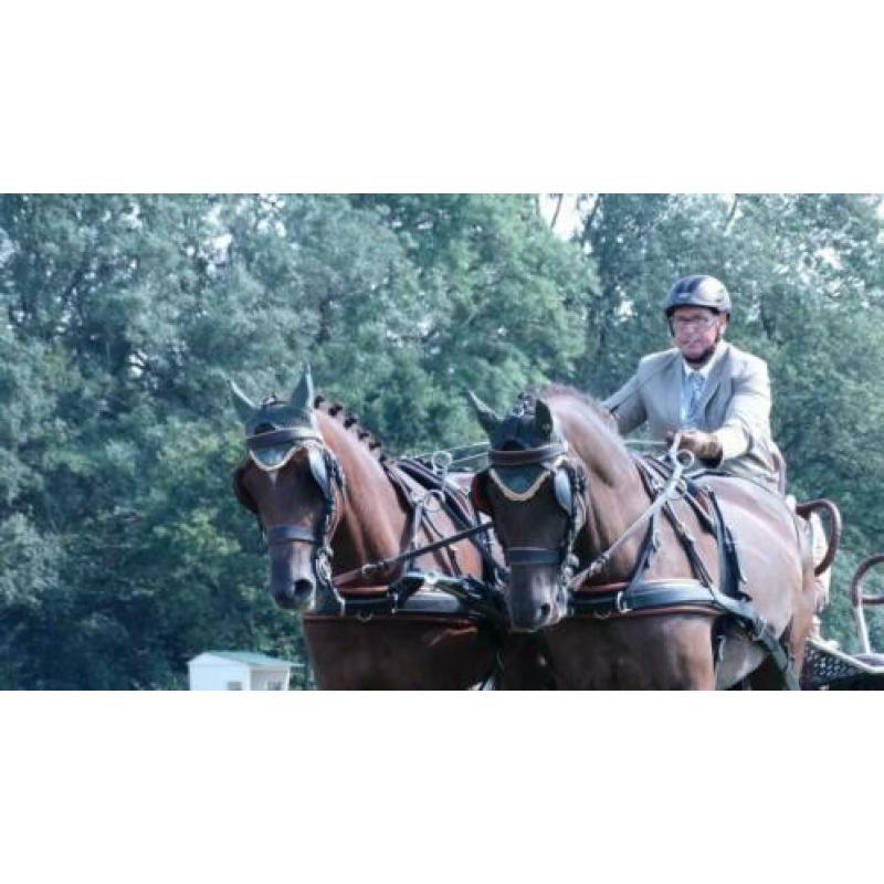 Mooi span D pony ruinen!