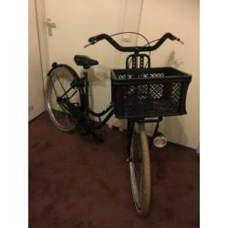 Pelikaan 28 inch