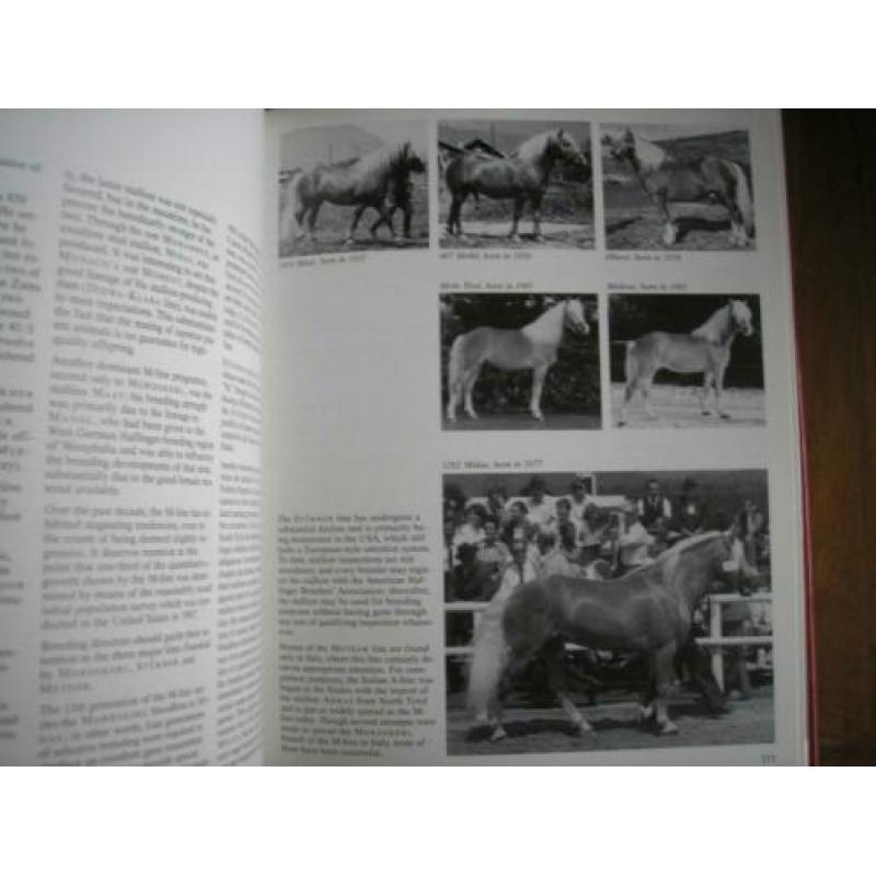 Paarden, Haftlinger Horses. Origins, Breeding and Careby