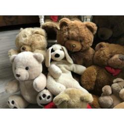 Diverse teddy knuffels ????