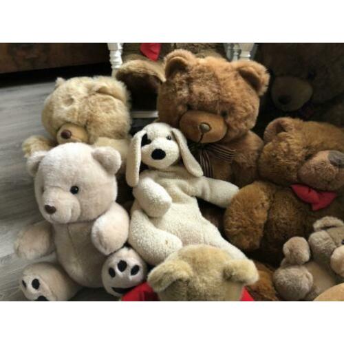 Diverse teddy knuffels ????