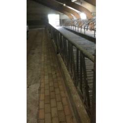 Zelfsluitend voerhek rundvee Brouwers