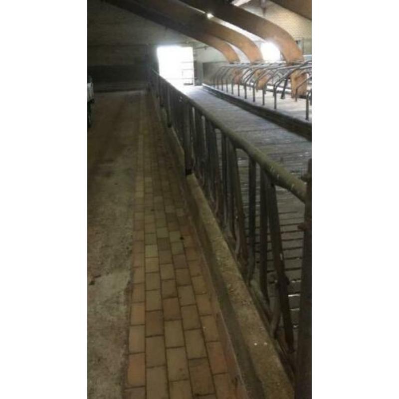 Zelfsluitend voerhek rundvee Brouwers
