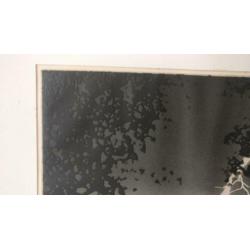 Jean Solombre (1948-2005), Bliksem, ets, proefdruk, E.E.